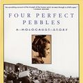 Cover Art for 9780380731886, Four Perfect Pebbles by Lila Perl, Marion Blumenthal Lazan