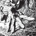 Cover Art for 9782809470741, Spider-Man n°9 Variant Angoulême (PAN.VARIANT COV) (French Edition) by Ryan Stegman, Adam Kubert, Brian M. Bendis, Mark Bagley, Chip Zdarsky, Dan Slott, Peter David, Stuart Immonen