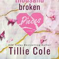 Cover Art for 9781728297095, A Thousand Broken Pieces by Tillie Cole