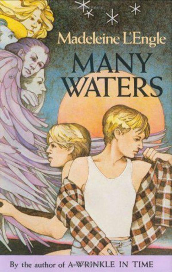 Cover Art for 9781429994361, Many Waters by Madeleine L'Engle