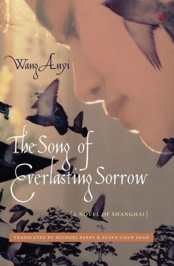 Cover Art for 9780231143424, The Song of Everlasting Sorrow by Anyi Wang