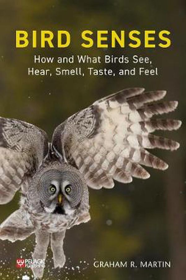 Cover Art for 9781784272166, Bird Senses: How What Birds See, Hear by Graham R. Martin