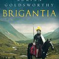 Cover Art for B07FVKKPXB, Brigantia: An authentic and action-packed historical adventure set in Roman Britain (Vindolanda Book 3) by Adrian Goldsworthy