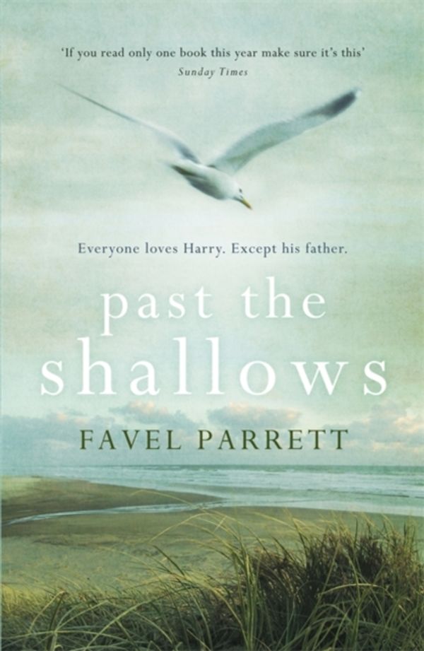 Cover Art for 9781848547506, Past the Shallows by Favel Parrett