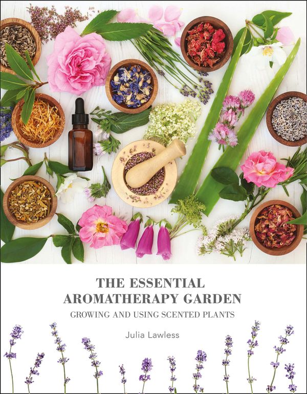 Cover Art for 9780008323288, The Essential Aromatherapy Garden: Growing & Using Scented Plants by Julia Lawless