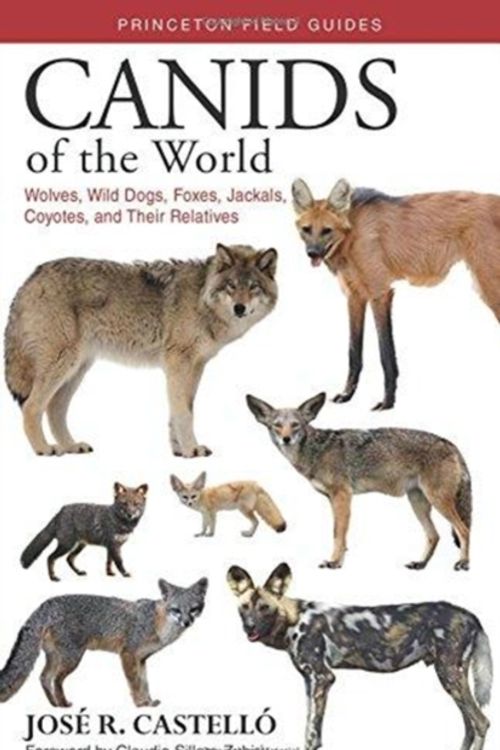 Cover Art for 9780691176857, Canids of the WorldWolves, Wild Dogs, Foxes, Jackals, Coyotes, and... by Castelló, José R.