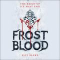 Cover Art for 9781478974185, Frostblood by Elly Blake