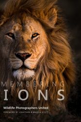 Cover Art for 9781999643317, Remembering Lions by Margot Raggett