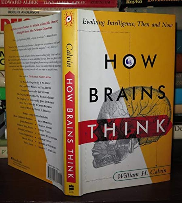 Cover Art for 9780465072774, How Brains Think: Evolving Intelligence, Then And Now (Science Masters) by. by William H. Calvin