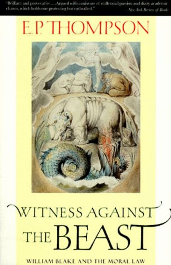 Cover Art for 9781565840584, Witness Against the Beast: William Blake and the Moral Law by E. P. Thompson