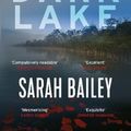 Cover Art for 9781786493569, The Dark Lake by Sarah Bailey