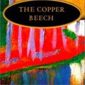 Cover Art for 9780613292146, The Copper Beech by Maeve Binchy