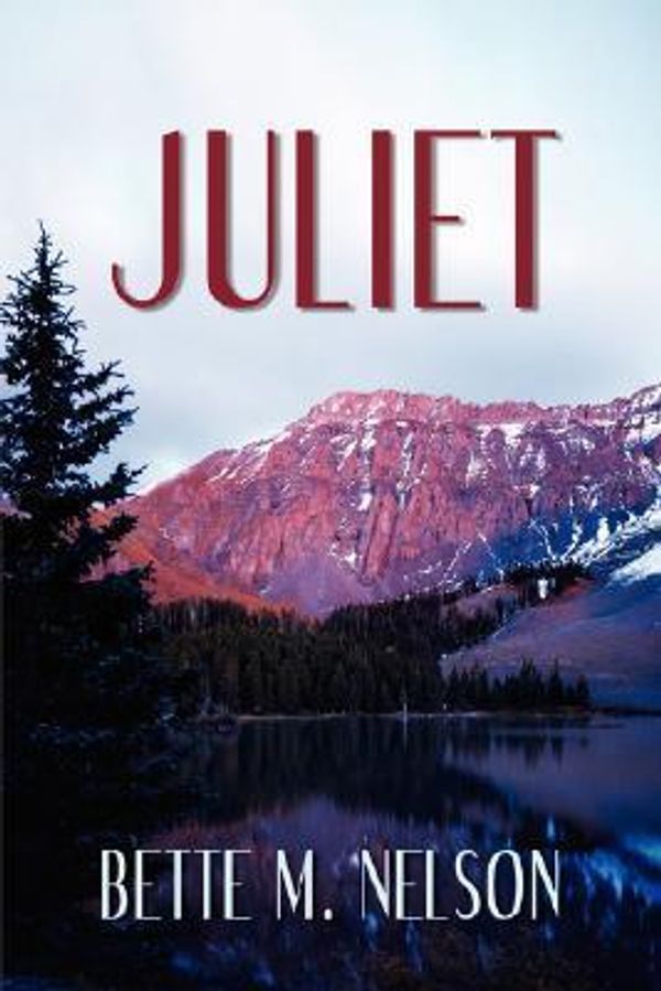Cover Art for 9781434302847, Juliet by Bette M Nelson