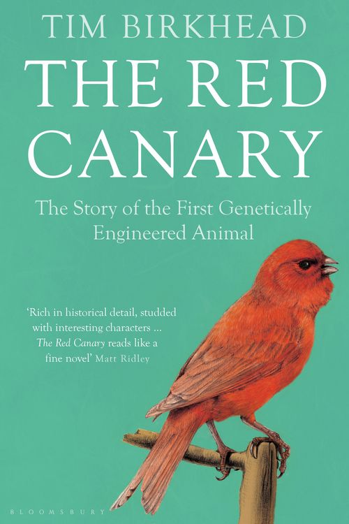 Cover Art for 9781408847060, The Red Canary by Tim Birkhead
