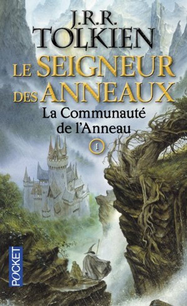 Cover Art for 9782266162418, Le Seigneur DES Anneaux by J R r Tolein