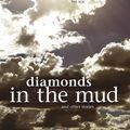 Cover Art for 9781405037785, Diamonds in the Mud and Other Stories by Joy Dettman
