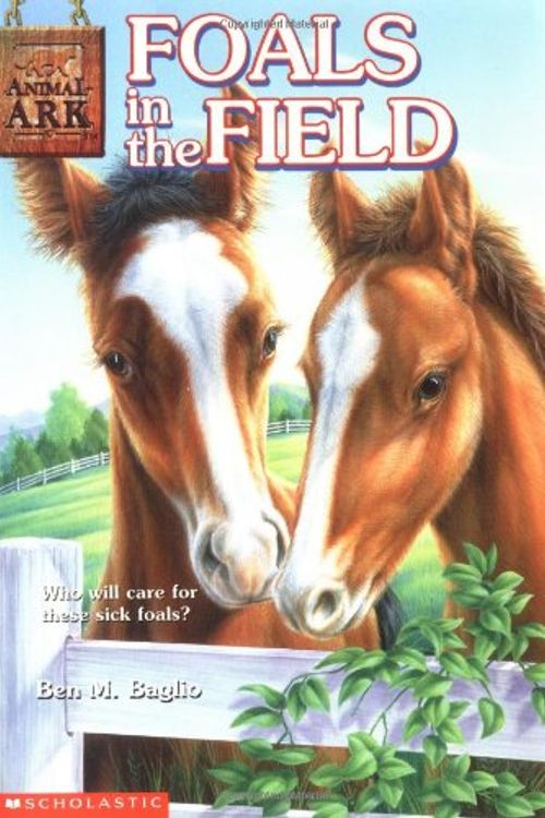Cover Art for 9780439343855, Animal Ark #24: Foals in the Fields by Ben M. Baglio
