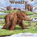 Cover Art for 9781628555677, Wandering Woolly by Andrea Gabriel