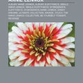 Cover Art for 9781231963814, Annie Lennox: Albumy Annie Lennox, Albumy Eurythmics, Single Annie Lennox, Single Eurythmics, Dyskografia Eurythmics, Dyskografia Annie Lennox by Źródło: Wikipedia