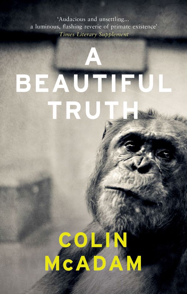 Cover Art for 9781847088505, A Beautiful Truth by Colin McAdam