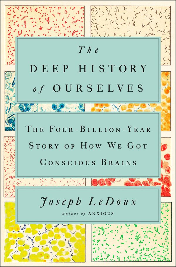 Cover Art for 9780735223837, The Deep History of Ourselves by Joseph LeDoux