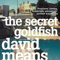 Cover Art for 9780007405336, The Secret Goldfish by David Means