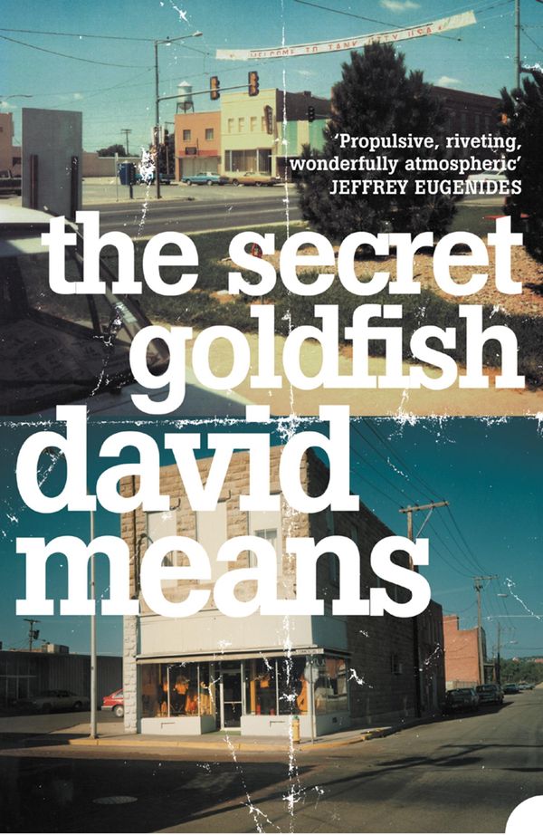 Cover Art for 9780007405336, The Secret Goldfish by David Means