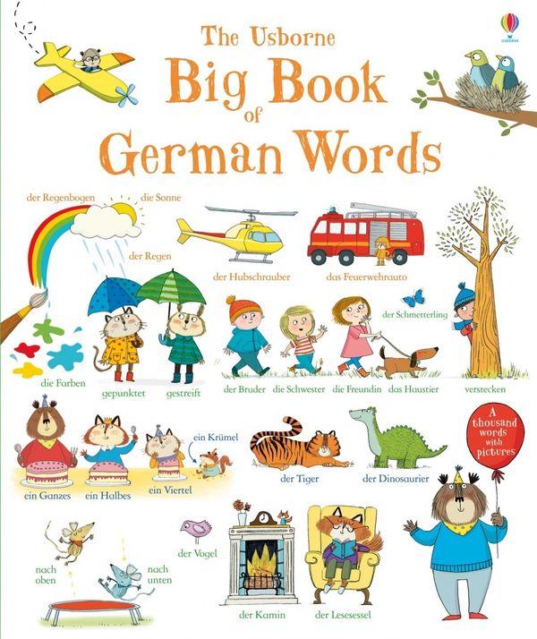 Cover Art for 9781409597841, Big Book of German Words by Mairi MacKinnon