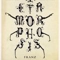 Cover Art for 9780393347654, The Metamorphosis by Franz Kafka