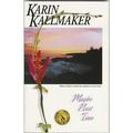 Cover Art for 9780739439791, Maybe Next Time by Karin Kallmaker