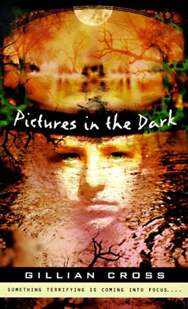Cover Art for 9780140389586, Pictures in the Dark (Puffin Novel) by Gillian Cross