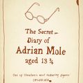 Cover Art for 9780141046426, The Secret Diary of Adrian Mole Aged 13 3/4 by Sue Townsend