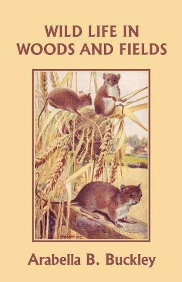 Cover Art for 9781599152714, Wild Life in Woods and Fields (Yesterday's Classics) by Arabella B. Buckley