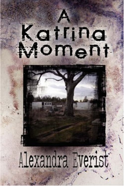 Cover Art for 9781606100172, A Katrina Moment by Alexandra Everist