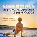 Cover Art for 9780134395326, Essentials of Human Anatomy & Physiology by Elaine Marieb, Suzanne Keller