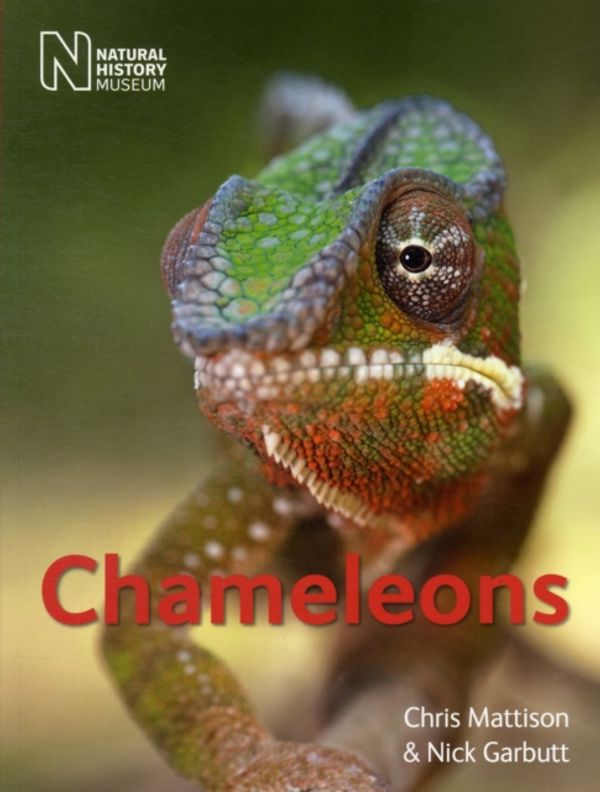 Cover Art for 9780565092900, Chameleons by Christopher Mattison