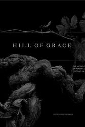 Cover Art for 9781743794951, Hill of Grace150 Years of Henschke Under Southern Skies by Fiona Macdonald