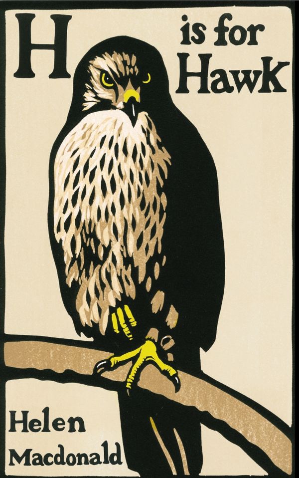 Cover Art for 9780224097000, H is for Hawk by Helen Macdonald