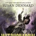 Cover Art for 9780765379344, Witchshadow: A Witchlands Novel (The Witchlands) by Susan Dennard