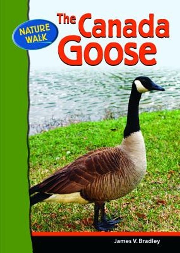 Cover Art for 9780791091135, The Canada Goose by James Bradley