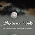 Cover Art for 9781933665276, Shadow World by Brad Steiger