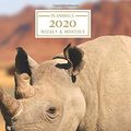 Cover Art for 9781698854939, 2020: Weekly and Monthly Planner/Calendar Jan 2020 - Dec 2020 Rhinocerous by Planimals