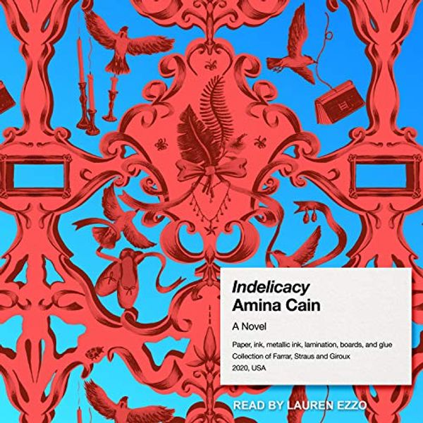 Cover Art for 9781541442467, Indelicacy by Amina Cain