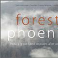 Cover Art for 9780643102118, Forest Phoenix: How a Great Forest Recovers After Wildfire by David Lindenmayer