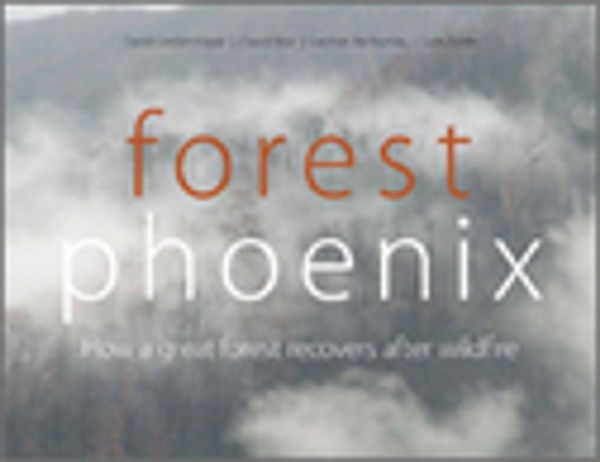 Cover Art for 9780643102118, Forest Phoenix: How a Great Forest Recovers After Wildfire by David Lindenmayer