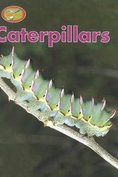 Cover Art for 9780817242091, Caterpillars by Theresa Greenaway