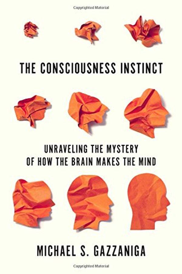 Cover Art for 9780374715502, The Consciousness Instinct: Unraveling the Mystery of How the Brain Makes the Mind by Michael S. Gazzaniga