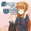 Cover Art for 9780316324274, Spice and Wolf: Novel v. 11 by Isuna Hasekura