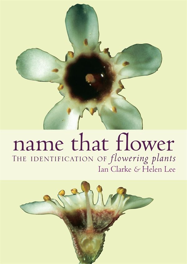 Cover Art for 9780522850604, Name That Flower by Ian Clarke, Helen Lee