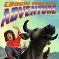 Cover Art for 9780553567564, Stampede! (Choose Your Own Adventure) by Laban Carrick Hill